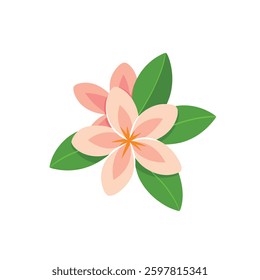 A delicate frangipani flower with soft petals and a vibrant center, set against a pure white background.