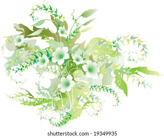 Delicate green flowers. (This EPS-file has a JPEG-copy in my portfolio).