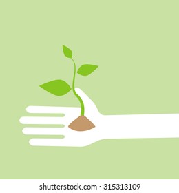 delicate green sprout in the hand: new life on the palm