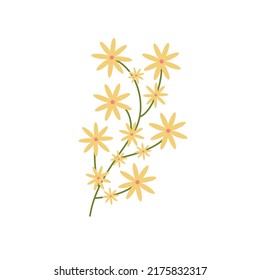 Delicate green twig with yellow flowers. Botanical elements. Meadow herbs, wildflowers. Floral Herb Design elements. Spring botanical vector illustration on white background