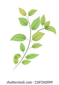 Delicate green watercolor branch. Hand-drawn isolated element for your design.