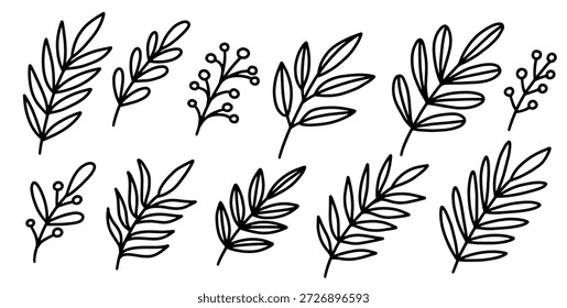 Delicados contornos de rama botánica dibujados a mano en estilo de línea negra. Boceto floral mínimo perfecto para papelería, diseño de bodas, embalaje, patrones y composiciones visuales elegantes