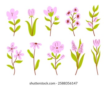 Delicate Hand Drawn Floral Elements. A collection of delicate hand-drawn floral elements featuring soft pink flowers and lush green leaves. Perfect for wedding invitations