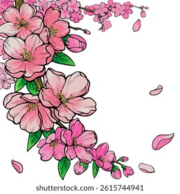 A delicate hand drawn illustration featuring beautiful pink cherry blossoms on branches with falling petals. Evokes a feeling of spring, romance, and elegance on a clean white background.