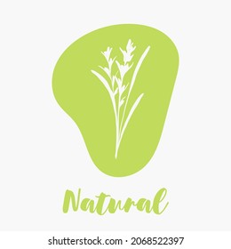 Delicate hand drawn organic logos and icons for ecological, farm food market, healthy life and local food restaurants or organic cosmetics labels. Vector illustration