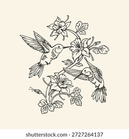 Una delicada ilustración de arte lineal en blanco y negro dibujada a mano con dos colibríes que recolectan néctar de flores de jardín florecientes en un estilo botánico clásico vintage.