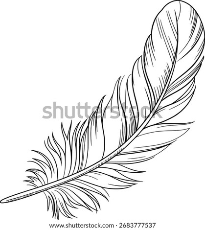 A delicate hand-drawn feather sketch on a white background. Scalable vector format suitable for p...