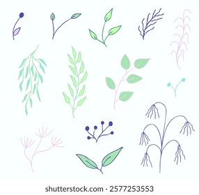 Delicate hand-drawn floral clipart with subtle decorative branches and leaves. Botanical collection for wedding invitations, packaging, cards, etc. in a modern minimalist style in green and blue shade