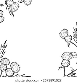 Delicate hand-drawn ink botanical frame featuring blooming burdock thistle branches on a clean white background. Elegant vintage floral border for invitations, herbal packaging, countryside stationery