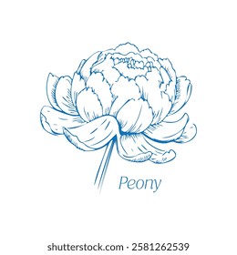 A delicate hand-drawn line art of an oriental peony stalk in a minimalist blue ink doodle style. Perfect for greeting cards, prints, posters, crafts, and elegant floral designs.