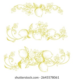 Delicate hand-drawn vector illustration of a lemon branches with leaves, curls and blooming flowers. Elegant botanical line art in a ornament style, perfect for modern packaging, labels, invitations