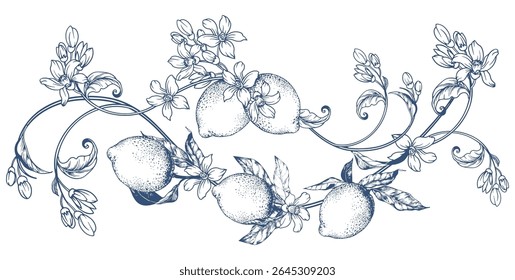Delicate hand-drawn vector ornament of a lemon branch with leaves and blooming flowers. Elegant botanical line art in a minimalist style, perfect for modern packaging, labels, invitations, kitchen