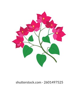 A delicate illustration of bougainvillea flowers with vibrant petals and intricate leaves, set against a clean white background.