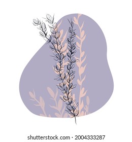 Delicate illustration of outline sketch of wild herbs with thorns on gentle pastel color spot. Vector natural contour fashion drawing. Wild grass of the steppes.