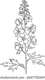 Delicado larkspur flor botânica linha ilustração arte, desenho detalhado de uma planta para o conceito de ervas, delphinium flor vetor símbolo para a educação. gravura