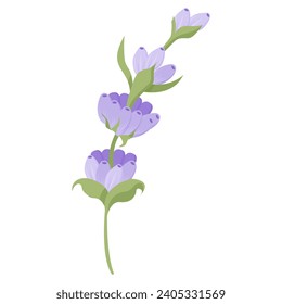 Delicada flor de lavanda en estilo plano. Ilustración vectorial sobre fondo blanco.