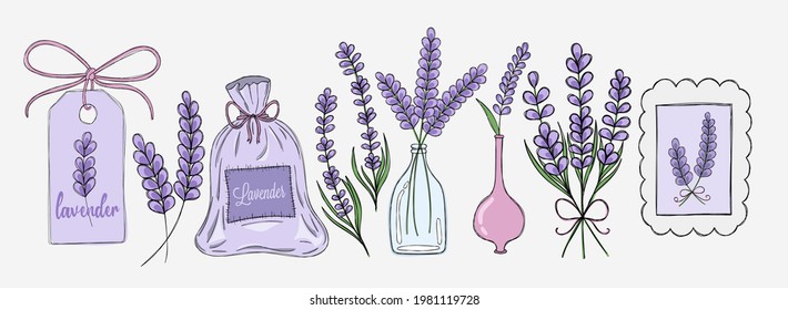 Delicate lavender set of different elements