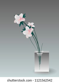 Delicate light pink flowers isolated on grey background in a small  vase. Romantic cute post card