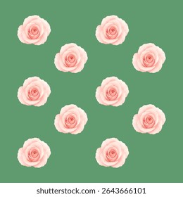 A delicate light pink rose flower seen from above, isolated on white background. Ideal for romantic, floral, or wedding-themed designs.