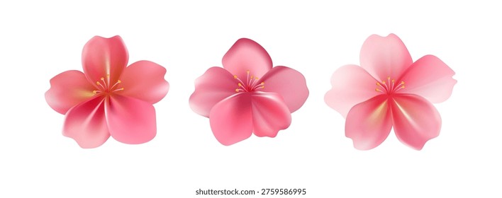 Delicate light pink sakura flower. Sakura blossom petals. Floral design for Valentine Day, birthday or wedding card. Vector illustration.