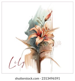 Delicate lily, watercolor flower, strokes and splashes of paint, drawing on a white background