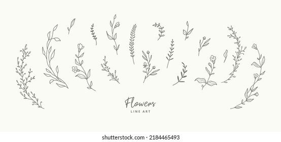 Delicate line art floral elements for wreaths frames. Hand drawn flowers, branches, leaves, plants, herbs. Leaf logo. Vector illustration for labels, branding business identity, wedding invitation