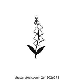 A delicate line art illustration of a foxglove flower, rendered with clean lines on a pure white background. This botanical artwork is perfect for natural themes and elegant designs.