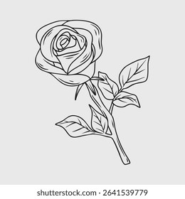 Delicate Line Art Rose Flower
