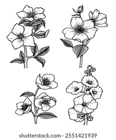 Delicate line art showcasing various flowering plants, perfect for botanical illustrations or nature-inspired designs