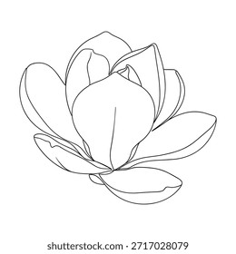 Un delicado dibujo de líneas captura los pétalos que se despliegan de una hermosa flor de magnolia.