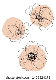 Un delicado dibujo de una flor margarita. Un vector de grabado a mano que graba una camomila silvestre. Un bosquejo de tinta negra de una flor de jardín botánico salvaje. Perfecto para etiquetas, íconos y decoración doméstica.