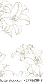 Delicate line drawings of lilies bloom softly. Golden outlines trace petals and stems with grace. Elegant, minimalist design evokes calm and beauty. Ideal for wedding stationery or luxury branding