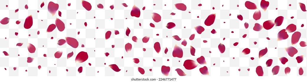 Delicate Lotus Blur Vector Transparent Panoramic Background. Fall Cherry Template. Purple Flower Tender Design. Pink Rose Spring Illustration.