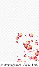 Delicate Lotus Fall Vector Transparent Background. Japan Flower Wallpaper. Pink Sakura Blur Texture. Red Rose Japanese Pattern.