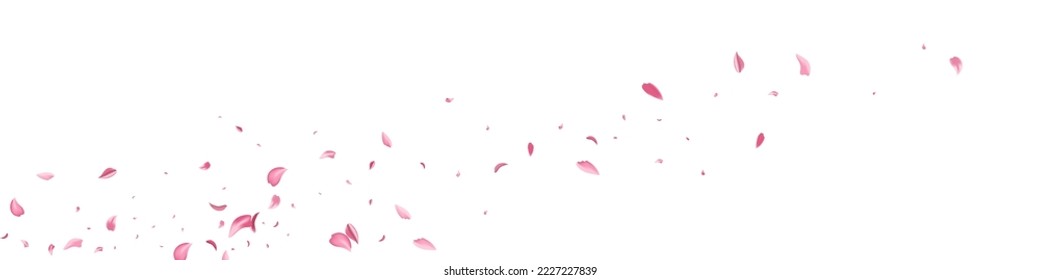 Delicate Lotus Fall Vector White Panoramic Background. Japan Floral Cover. Beautiful Flower Japanese Template. Pink Peach Beauty Pattern.