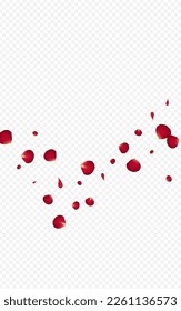 Delicate Lotus Japan Vector Transparent Background. Japanese Flower Frame. Red Peach Fly Pattern. Beautiful Cherry Falling Poster.