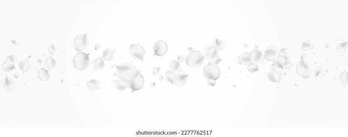 Delicate Lotus Vector Light Panoramic Background. White Summer Cherry Illustration. Japanese Sakura Design. Pastel Blossom Blur Pattern.