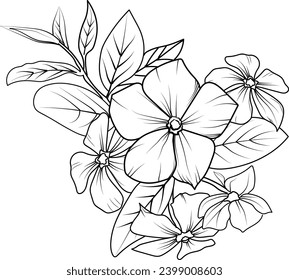 Delicate Madagascar periwinkle tattoo. periwinkle vector illustration, beautiful periwinclae flower bouquet, hand-drawn coloring pages and book of artistic, blossom flowers vinca, engraved ink art