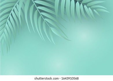 
Delicate marine color background. Palm leaves and shadow.