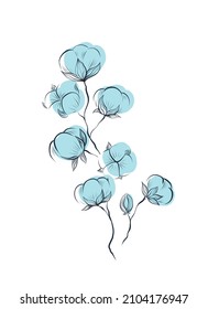 Delicate natural sketches of blue cotton plant and stems with foliage isolated from background. Vector gentle herbal clipart with stems and fluffy balls