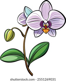 Delicate Orchid Flower Vector Illustration Capturing Exotic Beauty and Elegance