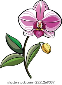 Delicate Orchid Flower Vector Illustration Capturing Exotic Beauty and Elegance