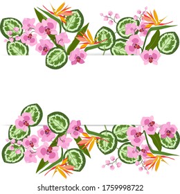 Delicadas orquídeas y hojas tropicales con un marco y un lugar para el texto sobre un fondo blanco. Invitación a la boda, tarjeta de saludo, volante.