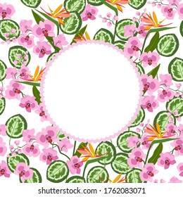 Delicadas orquídeas y hojas tropicales con un marco y un lugar para el texto sobre un fondo blanco. Invitación a la boda, tarjeta de saludo, volante.