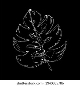 The delicate outline of the tropical leaf of Monstera