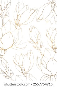 Delicate pattern with magnolia flowers,  vector illustration, linear design for packading, print, web and design projects.