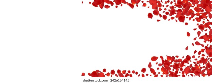 Delicate Peach Beauty Vector Panoramic White Background. Tender Rose Illustration. Beautiful Petal Fall Cover. Red Floral Japan Texture.