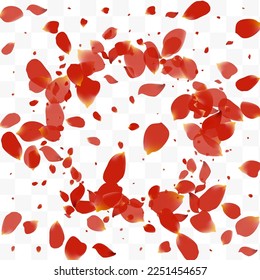 Delicate Peach Blur Vector Transparent Background. Falling Rose Illustration. Red Sakura Fall Frame. Beautiful Petal Fly Banner.