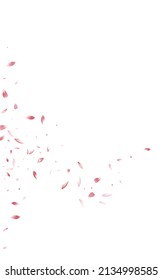 Delicate Peach Fly Vector White Background. Beauty Petal Texture. Pink Floral Flying Poster. Beautiful Lotus Fall Pattern.