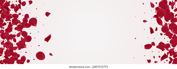 Delicate Peach Japanese Vector Panoramic White Background. Tender Sakura Template. Pink Petal Falling Frame. Red Rose Fly Design.